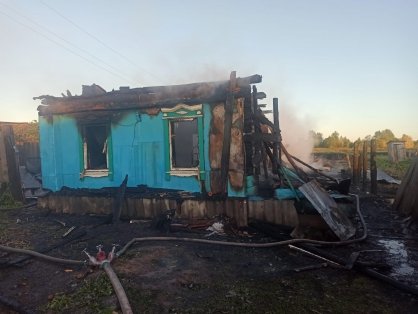В Шемышейском районе возбуждено уголовное дело по факту смерти трех человек при пожаре